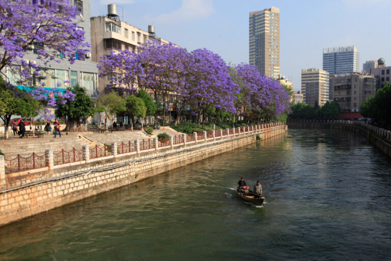 Yang Biao - Returning-Fishing-boat-3